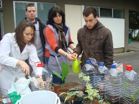 Transplante de plantas com alunos da educação especial, docentes e auxiliares educativos .